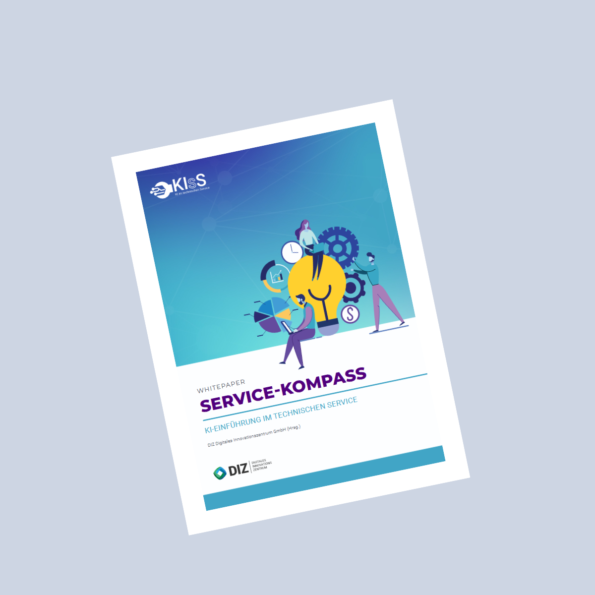 DIZ Whitepaper Cover